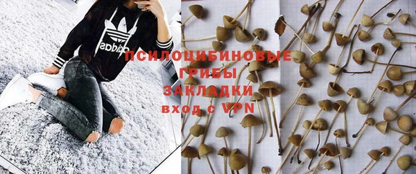спиды Кукмор