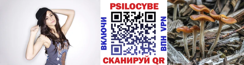 Галлюциногенные грибы Psilocybine cubensis  Купить закладки  Чайковский 